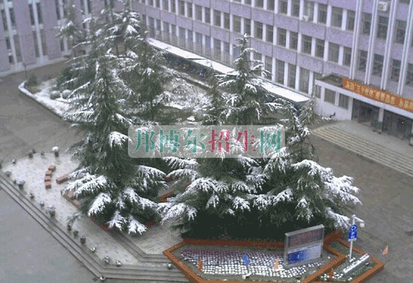 上海醫(yī)療器械高等??茖W(xué)校