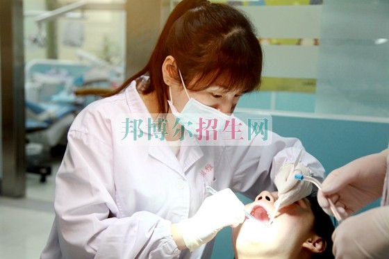 哪個大專學?？谇会t(yī)學好