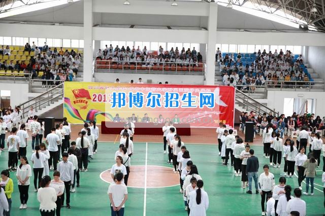 成都中醫(yī)藥大學附院針灸學校龍泉校區(qū)舉行2017年新團員入團宣誓儀式