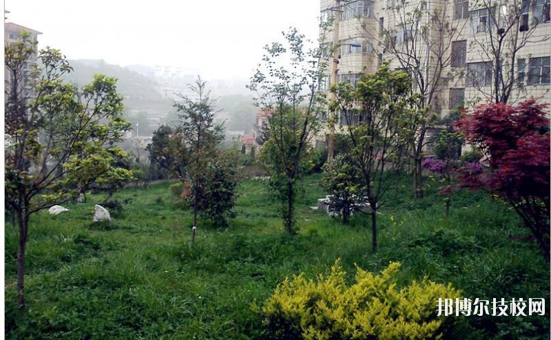 貴陽長城職業(yè)學(xué)校怎么樣、好不好