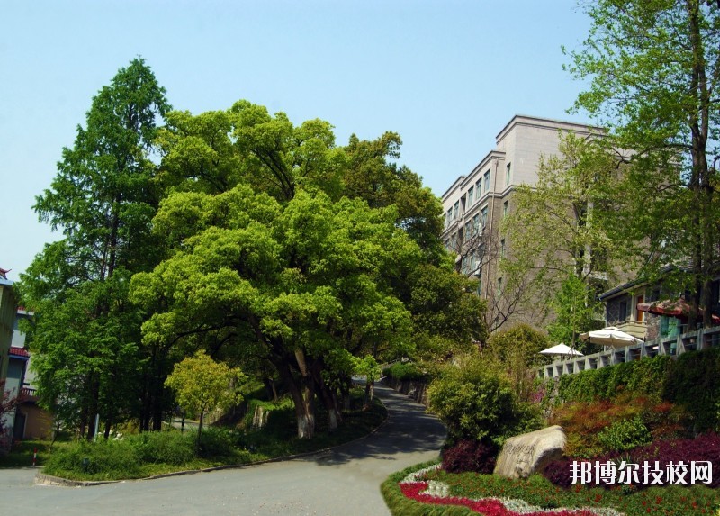 中國美術(shù)學(xué)院附屬中等美術(shù)學(xué)校2020年報名條件、招生要求、招生對象