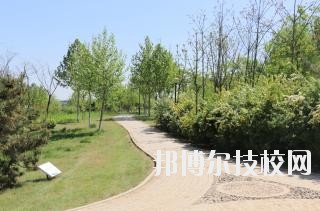 石家莊中英航空中等專業(yè)學(xué)校2020年報(bào)名條件、招生要求、招生對(duì)象