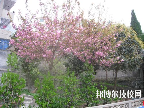 嵐皋縣中等職業(yè)技術(shù)學(xué)校2020年報名條件、招生要求、招生對象