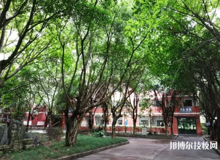 重慶舞蹈學(xué)校2020年報(bào)名條件、招生要求、招生對(duì)象