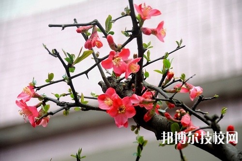貴州廣播電影電視學校怎么樣、好不好