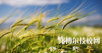 靖遠縣平堡職業(yè)技術(shù)中學2020年招生辦聯(lián)系電話