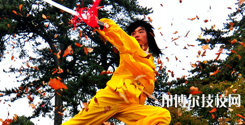 平?jīng)鲠轻嘉奈鋵W(xué)校2020年報(bào)名條件、招生要求、招生對(duì)象