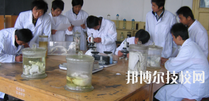 臨夏農(nóng)業(yè)學(xué)校2020年學(xué)費(fèi)、收費(fèi)多少