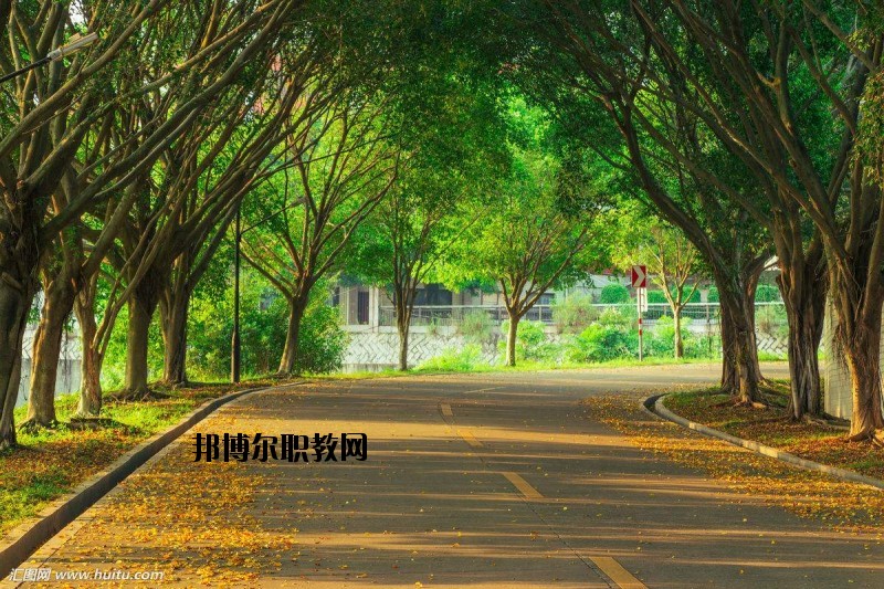 仙桃金園職業(yè)高級(jí)中學(xué)2020年報(bào)名條件、招生要求、招生對(duì)象