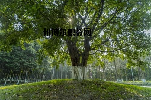 四川檔案學(xué)校2020年招生辦聯(lián)系電話(huà)