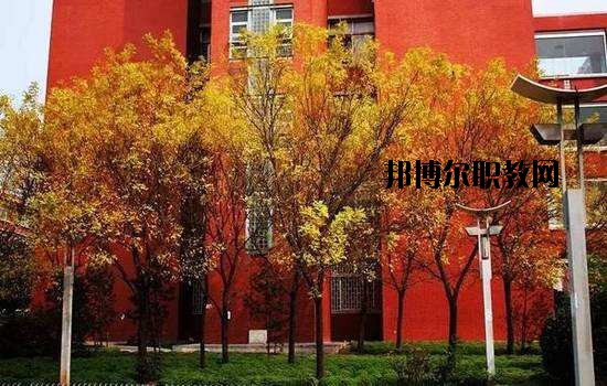 鶴峰職業(yè)技術(shù)學(xué)校2020年報(bào)名條件、招生要求、招生對(duì)象