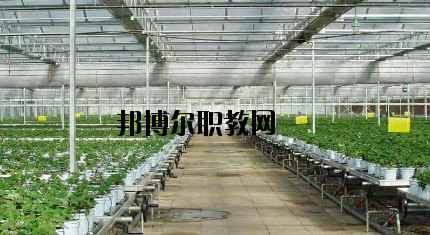 隴南農(nóng)業(yè)學校怎么樣、好不好