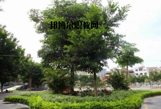 羅定中等職業(yè)技術(shù)學(xué)校怎么樣、好不好
