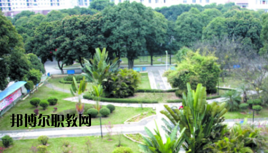 廣西百色農(nóng)業(yè)學(xué)校2020年報(bào)名條件、招生要求、招生對(duì)象 