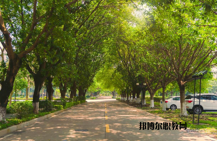 河南團(tuán)校2021年報(bào)名條件、招生要求、招生對(duì)象