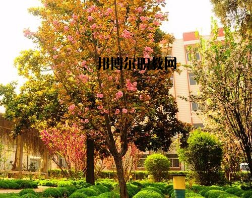 新鄉(xiāng)工業(yè)學(xué)校2021年報名條件、招生對象