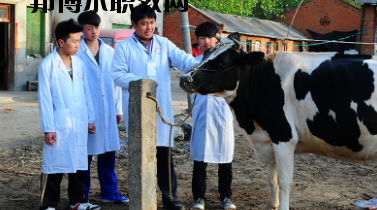 甘南畜牧學(xué)校2020年學(xué)費(fèi)、收費(fèi)多少