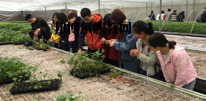 甘南畜牧學校網(wǎng)站網(wǎng)址  