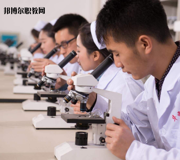 焦作護(hù)理學(xué)校怎么樣、好不好