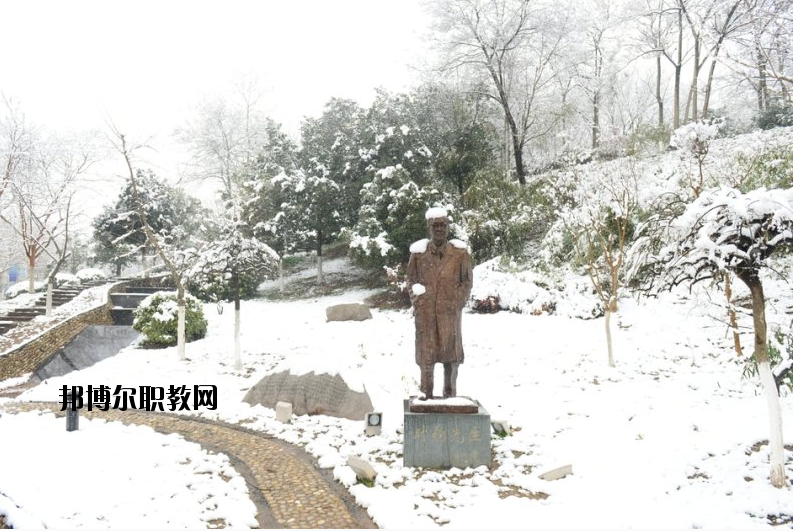 南京工業(yè)大學(xué)2020年報名條件、招生要求、招生對象