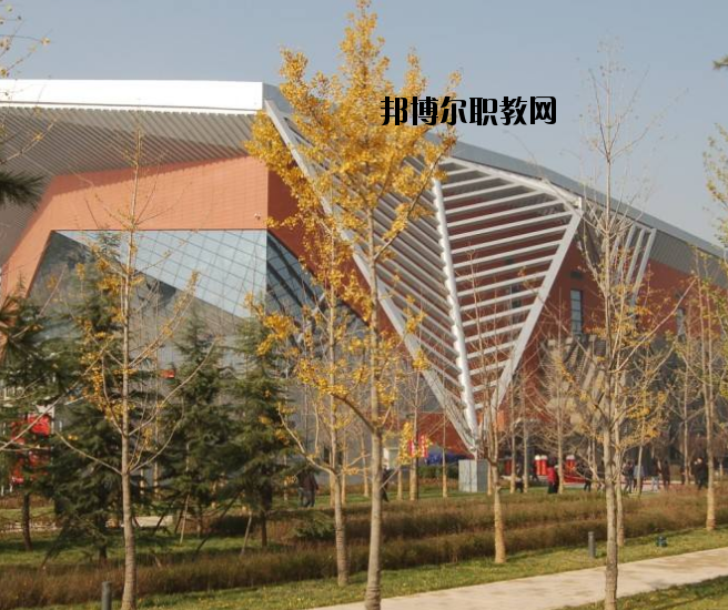 宜昌體育運(yùn)動學(xué)校怎么樣、好不好