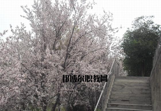?？德毥讨行膶W(xué)校網(wǎng)址網(wǎng)站