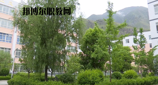 文縣職業(yè)技術(shù)學(xué)校2020年報名條件、招生要求、招生對象