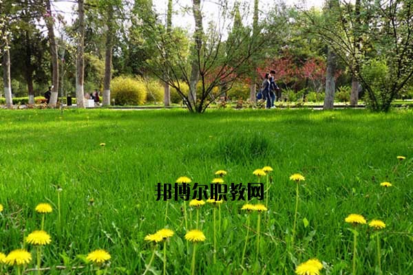 雙江縣職教中心2020年報名條件、招生要求、招生對象