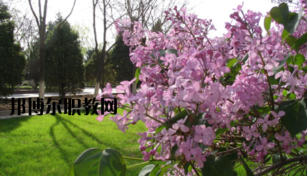 金川公司技工學(xué)校2020年報(bào)名條件、招生要求、招生對(duì)象