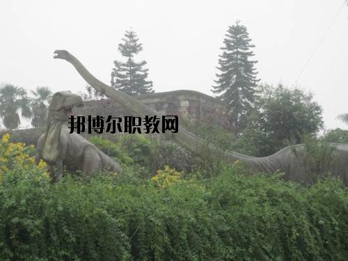 自貢三星職業(yè)技術(shù)學(xué)校2020年報(bào)名條件、招生要求、招生對(duì)象