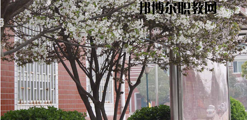鄭州財(cái)經(jīng)技師學(xué)院2021年有哪些專(zhuān)業(yè)