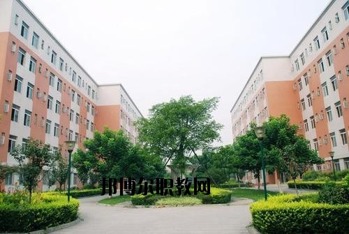 成都信息工程職業(yè)技術(shù)學(xué)校2020年報(bào)名條件、招生要求、招生對象