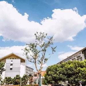 南京科技職業(yè)學(xué)院怎么樣、好不好