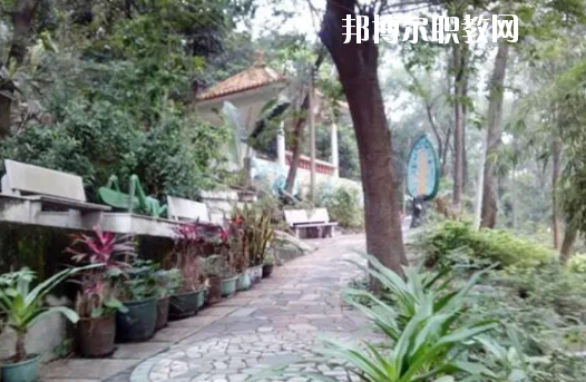 廣州市穗華職業(yè)技術學校怎么樣、好不好
