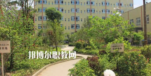 道真中等職業(yè)學(xué)校2020年報(bào)名條件、招生要求、招生對(duì)象