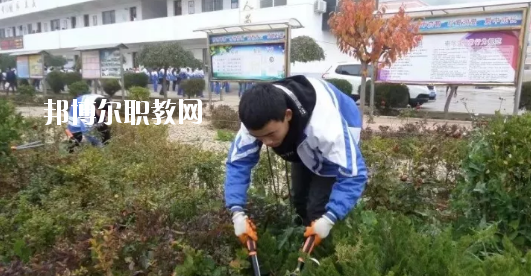 秦安縣古城農(nóng)業(yè)中學(xué)怎么樣、好不好