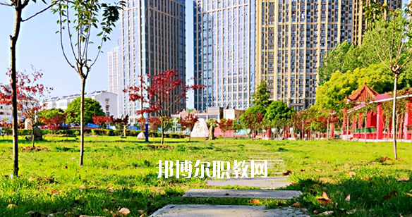 合肥飛躍學(xué)校2020年報名條件、招生要求、招生對象 