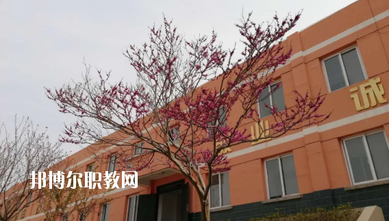 成縣化埡農(nóng)職業(yè)中學(xué)怎么樣、好不好