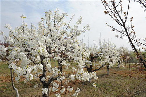 宿遷高等師范學(xué)校怎么樣、好不好
