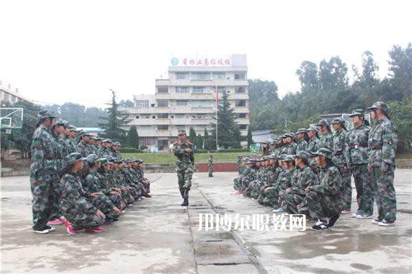 云南林業(yè)高級技工學(xué)校2021年學(xué)費、收費多少