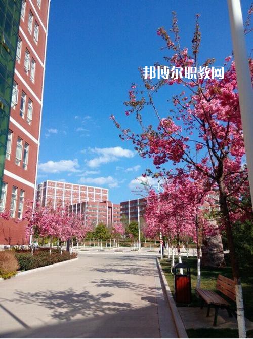 云南藝術(shù)學校2021年招生辦聯(lián)系電話