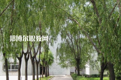 新疆喀什地區(qū)衛(wèi)生學(xué)校2021年報名條件、招生要求、招生對象