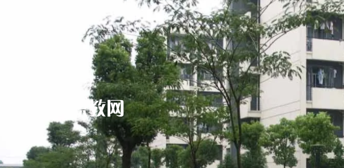 安徽工商行政管理學校怎么樣、好不好