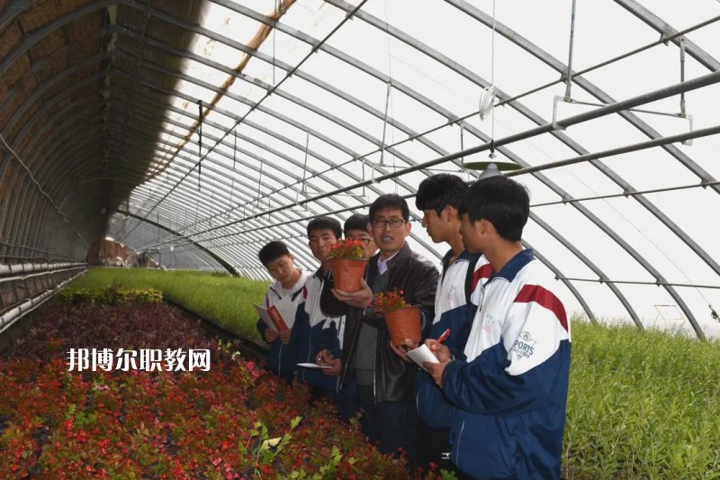 靖遠(yuǎn)職業(yè)教育中心2022年學(xué)費(fèi)、收費(fèi)多少