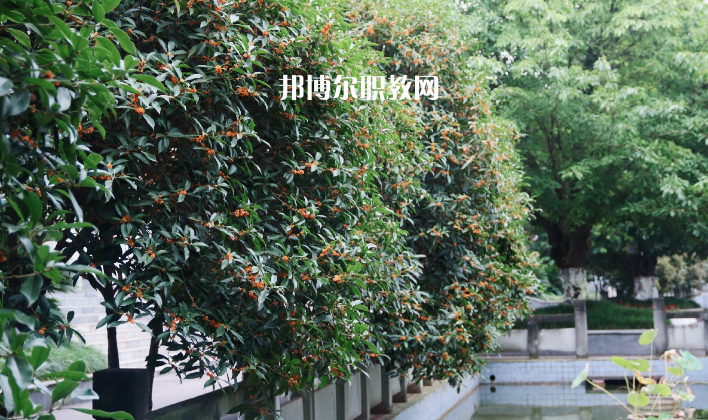 德陽(yáng)通用電子科技學(xué)校怎么樣、好不好