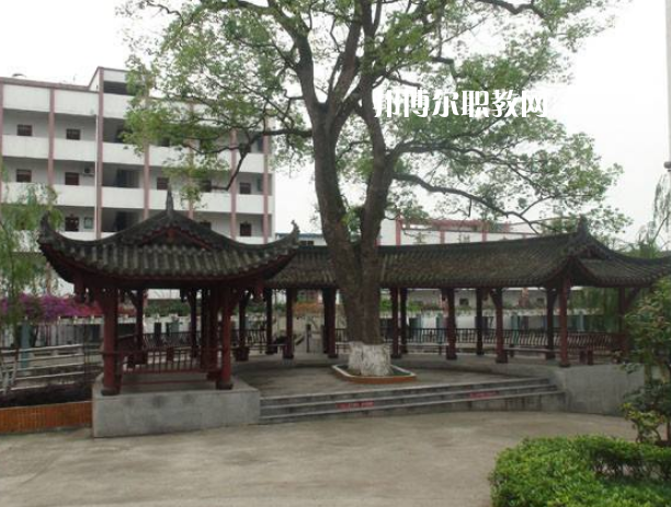 四川合江先市職業(yè)高級中學(xué)校怎么樣、好不好