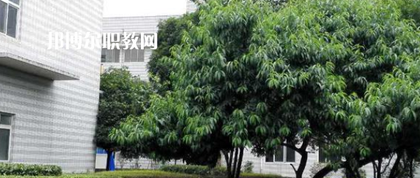 成都市中山職業(yè)技術(shù)學(xué)校2022年報(bào)名條件、招生要求、招生對(duì)象