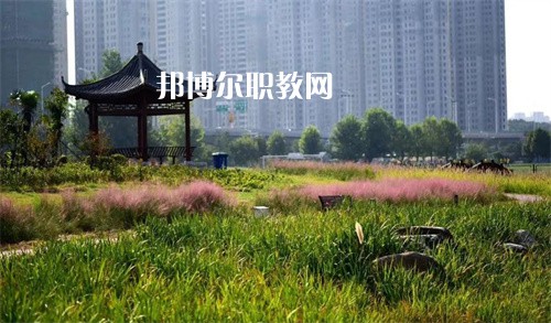 徐州生物工程職業(yè)技術(shù)學(xué)院中專部2022年報名條件、招生要求、招生對象