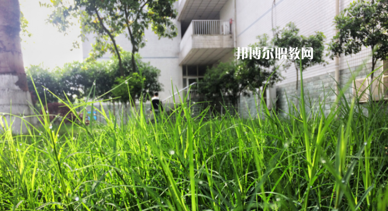 樂(lè)山計(jì)算機(jī)學(xué)校2022年學(xué)費(fèi)、收費(fèi)多少
