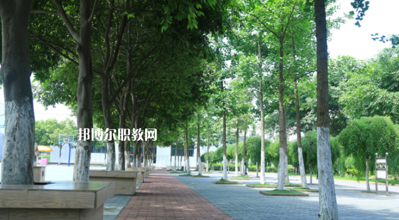 大關(guān)縣職業(yè)高級中學2022年學費、收費多少
